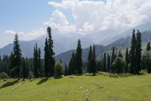 Het Gulmarg Heuvel Station Kashmir India — Stockfoto