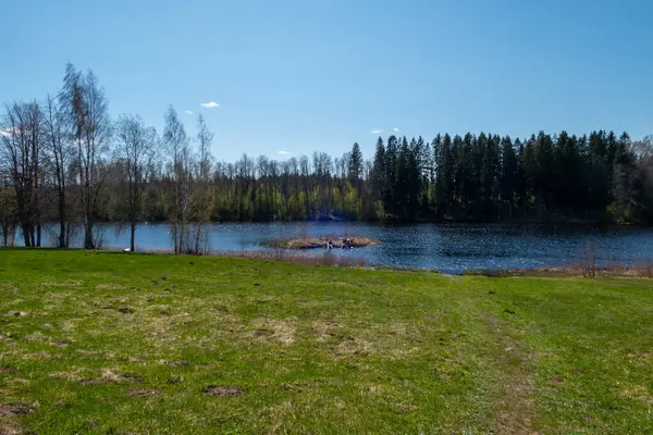 Una Escena Tranquila Con Hermoso Lago Rodeado Árboles Bajo Cielo — Foto de Stock
