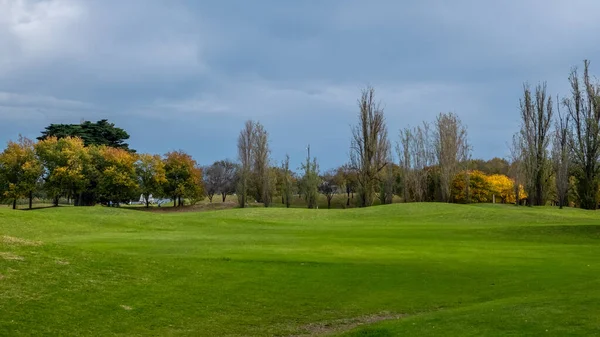 Campo Golf Albert Park Con Edificios Melbourne Victoria Australia — Foto de Stock