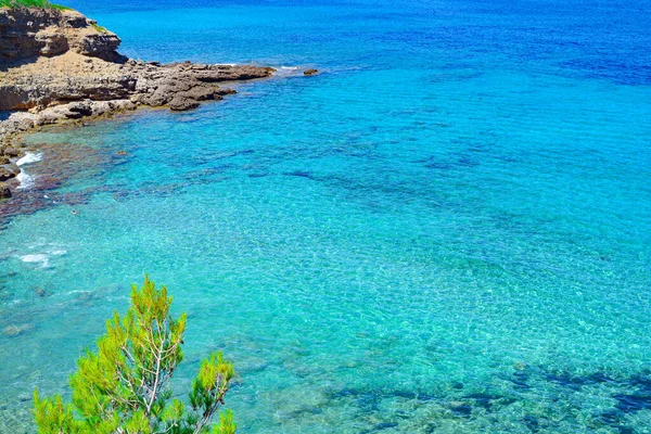 Mallorca Daki Kristal Berrak Mavi Koy Balear Adaları Spanya — Stok fotoğraf