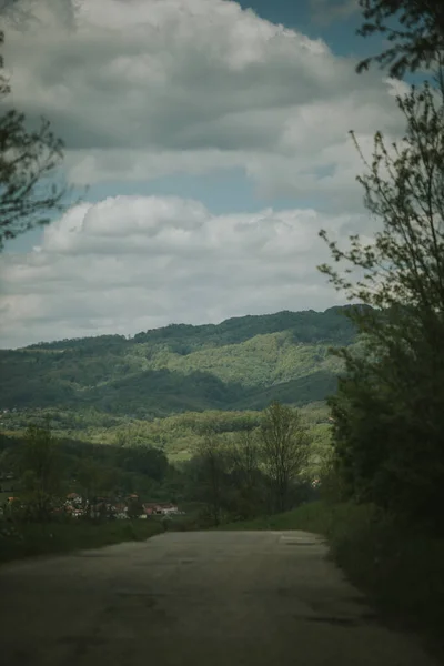 Vertical Shot Empty Road Stretching Hillside Trees — Zdjęcie stockowe