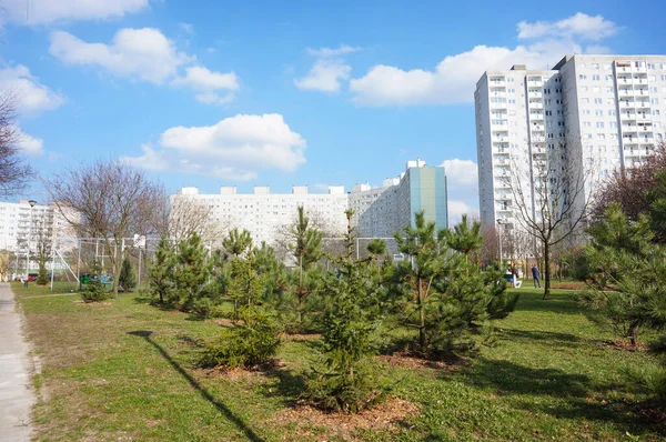 Poznan Polen Apr 2016 Geplande Pijnbomen Met Flatblokken Achtergrond — Stockfoto
