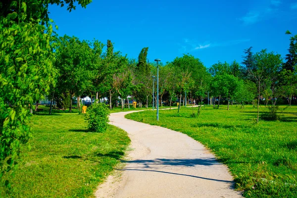 Caminho Curvo Com Grama Verde Brilhante Bem Conservada Torno Dele — Fotografia de Stock