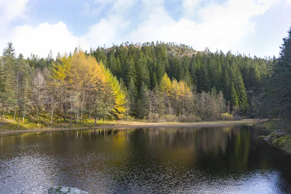 Tranquil View Lake Surrounded Green Yellow Trees Autumn — Stockfoto