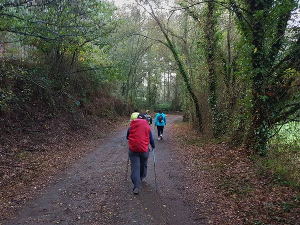 Caminho Floresta Com Grupo Caminhantes Seguindo Trilha Túnel Árvores — Fotografia de Stock