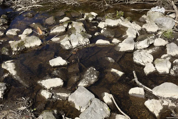 Plan Angle Élevé Grosses Pierres Grises Dans Une Rivière Allemagne — Photo