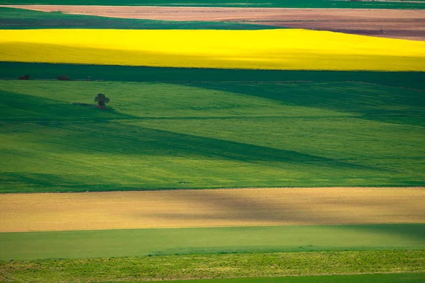 春光乍现的肥沃耕地上美丽的风景 — 图库照片