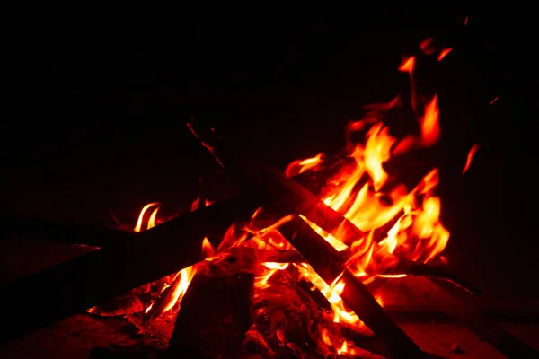 Geceleri Yanan Kamp Ateşinin Büyüleyici Görüntüsü — Stok fotoğraf