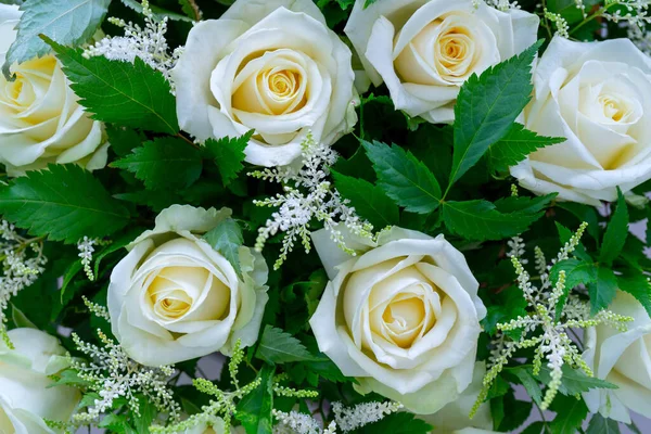 Nahaufnahme Eines Straußes Aus Weißen Rosen — Stockfoto