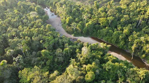 Eine Luftaufnahme Des Flusses Umgeben Von Grünen Bäumen — Stockfoto