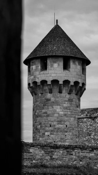 Grayscale Vertical Shot Old Tower Roof — Stock Photo, Image