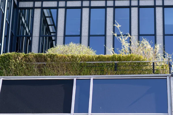 Nízký Úhel Záběru Balkónu Moderní Budovy Modrými Okny Denního Světla — Stock fotografie