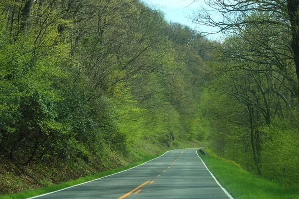 Autostrada Wsi Wyłożona Zielonymi Drzewami — Zdjęcie stockowe