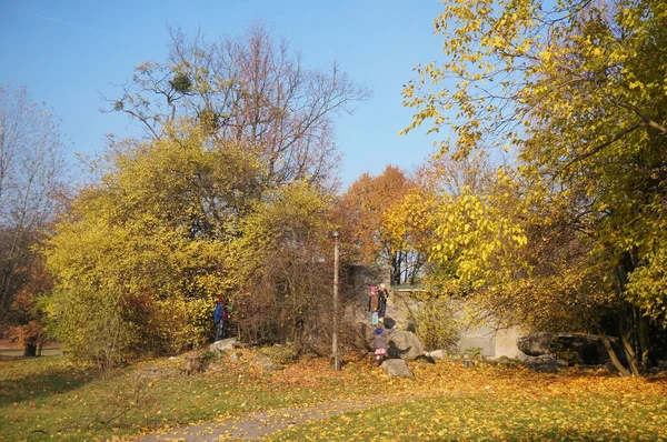 Poznan Polónia Janeiro 2016 Crianças Brincando Árvores Parque Cytadela Temporada — Fotografia de Stock