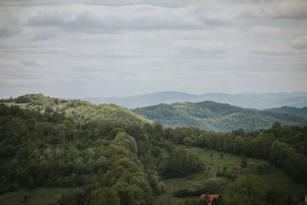 Een Prachtig Uitzicht Groene Heuvels Planten Onder Een Heldere Hemel — Stockfoto