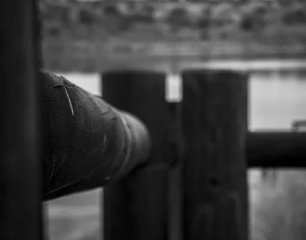 Grayscale Shot Wooden Fences Blurred Background — Stock Photo, Image