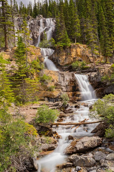 Vertical Shot Waterfall Flowing Rocks Forest — Stok fotoğraf