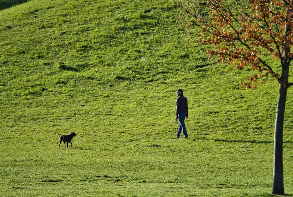 Munich Németország Május 2021 Tulajdonos Sétál Kutyájával Müncheni Parkban Kutya — Stock Fotó