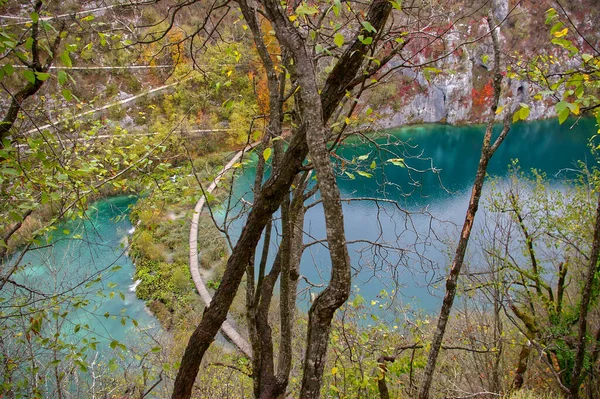 Eine Schöne Aufnahme Plitvicer Nationalpark Kroatien — Stockfoto
