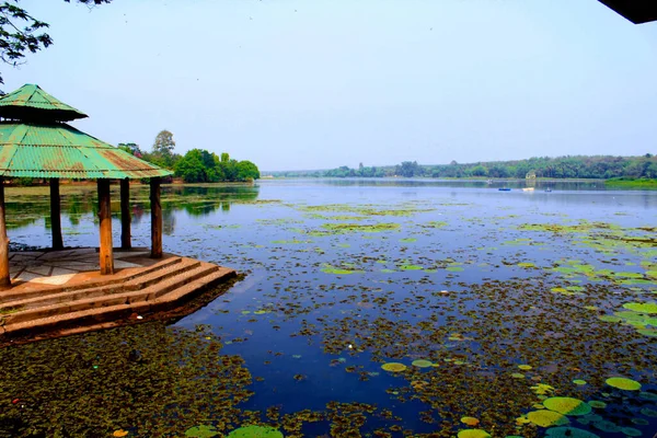 Lago Con Nenúfares Contra Cielo Despejado Verano — Foto de Stock