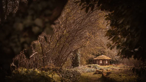 Eine Kleine Hütte Wald Herbst — Stockfoto