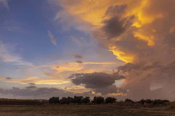 Bela Vista Das Árvores Brownfield Durante Pôr Sol Deslumbrante — Fotografia de Stock