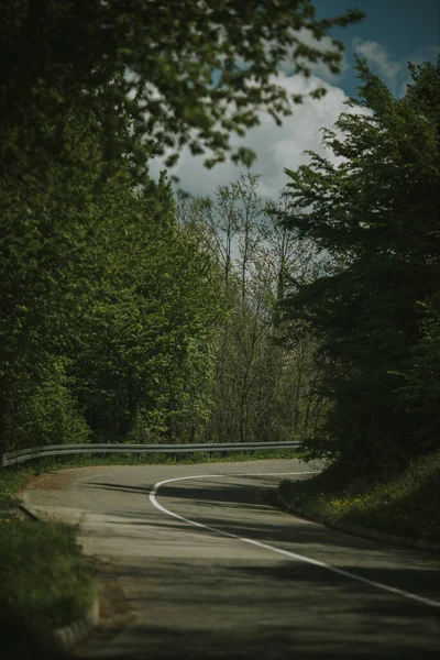 Eine Vertikale Aufnahme Einer Kurvenreichen Straße Durch Einen Grünen Wald — Stockfoto