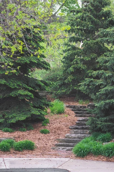아름다운 공원에서 콘크리트 계단을 수직으로 올리는 — 스톡 사진
