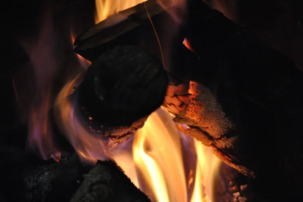 Kamp Ateşinde Yanan Odunların Yakın Çekimi Ormandaki Canlı Bir Alevin — Stok fotoğraf