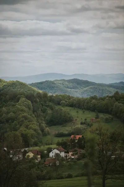 Eine Vertikale Aufnahme Von Schönen Grünen Hügeln Die Von Wäldern — Stockfoto