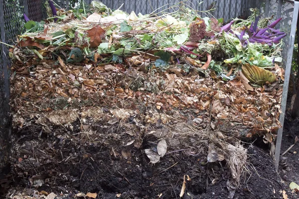 Een Close Van Het Proces Van Compost Tuin Verschillende Stadia — Stockfoto