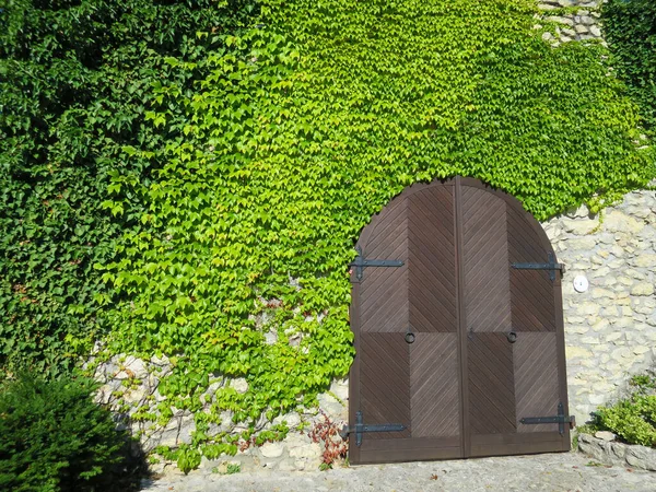 Closeup Shot Door Brick Wall Covered Green Plants — Stock Photo, Image