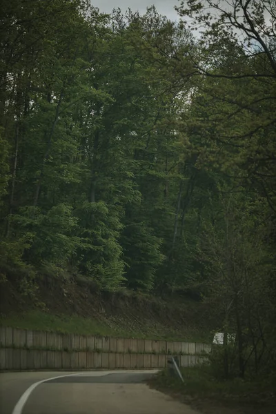 Tiro Vertical Uma Estrada Torcendo Através Uma Floresta Verde — Fotografia de Stock