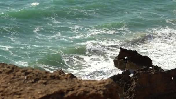 Prachtige omgeving van de zee tijdens een geweldige zonnige dag aan het strand — Stockvideo