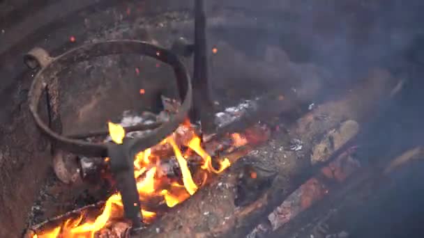 Egy Közeli Ágak Égő Egy Régi Rozsdás Fém Tartály Lövés — Stock videók