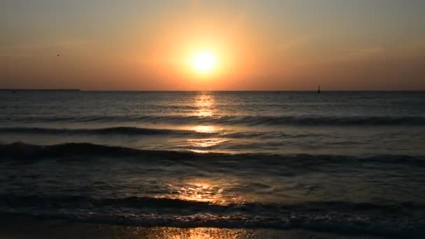 Красиві пейзажі моря під час дивовижного сонячного дня на пляжі — стокове відео