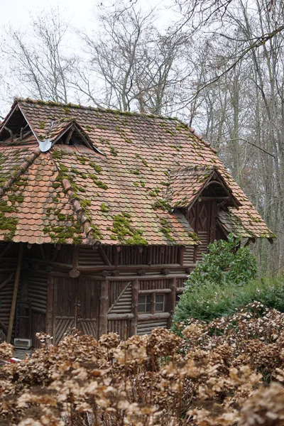 Plan Vertical Une Vieille Maison Dans Forêt — Photo