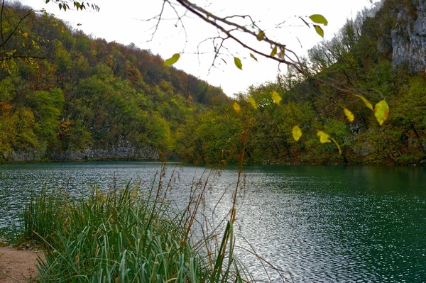 Ładny Strzał Parku Narodowym Jeziora Plitwickie Chorwacja — Zdjęcie stockowe