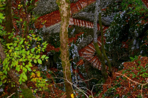 Egy Szép Lövés Plitvicei Tavak Nemzeti Park Horvátország — Stock Fotó