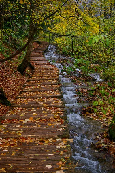 Egy Szép Lövés Plitvicei Tavak Nemzeti Park Horvátország — Stock Fotó