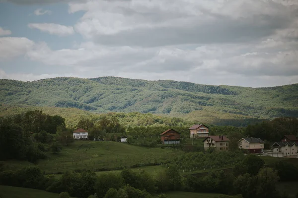 Beautiful Shot Green Hills Trees Forests — ストック写真