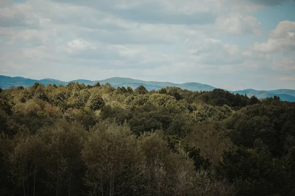 Een Prachtig Schot Van Heuvels Bedekt Met Bomen Onder Een — Stockfoto