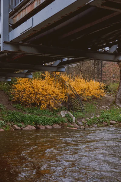 Eine Vertikale Aufnahme Einer Alten Brücke Über Einen Fluss Und — Stockfoto