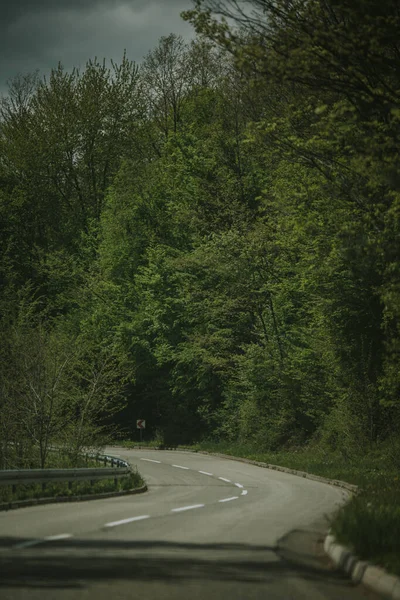 Tiro Vertical Uma Estrada Torcendo Através Uma Floresta Verde — Fotografia de Stock