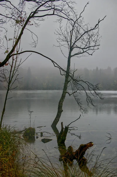 Egy Szép Lövés Plitvicei Tavak Nemzeti Park Horvátország — Stock Fotó