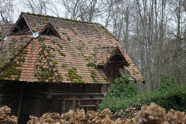 Piękny Widok Stary Dom Lesie — Zdjęcie stockowe