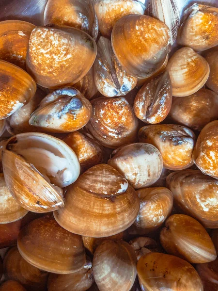 Top View Piled Vongole Clams Displayed Wet Market — Stock Photo, Image