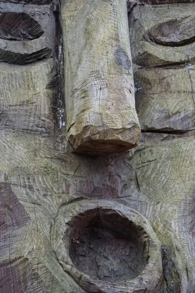 Eine Vertikale Aufnahme Des Geschnitzten Gesichts Auf Einem Alten Baum — Stockfoto