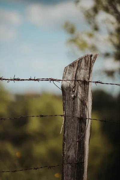 Vertical Closeup Shot Barbed Wire Wooden Pole — Stock Photo, Image