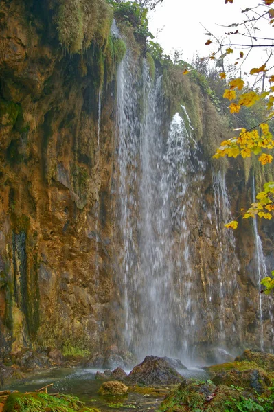 Joli Plan Dans Parc National Des Lacs Plitvice Croatie — Photo